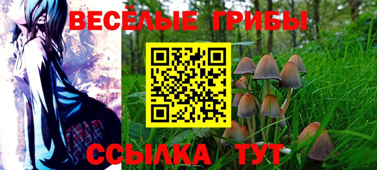 Галлюциногенные грибы мухоморы  Вход с VPN  Нефтекумск 